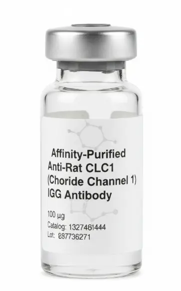 Affinity-Purified Anti-Rat CLC1 (Chloride Channel 1) IgG Antibody