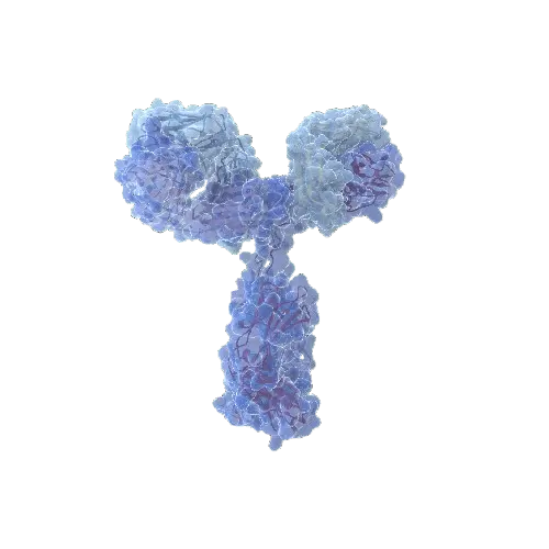 HMGB1 (Human) IP-WB Antibody Pair