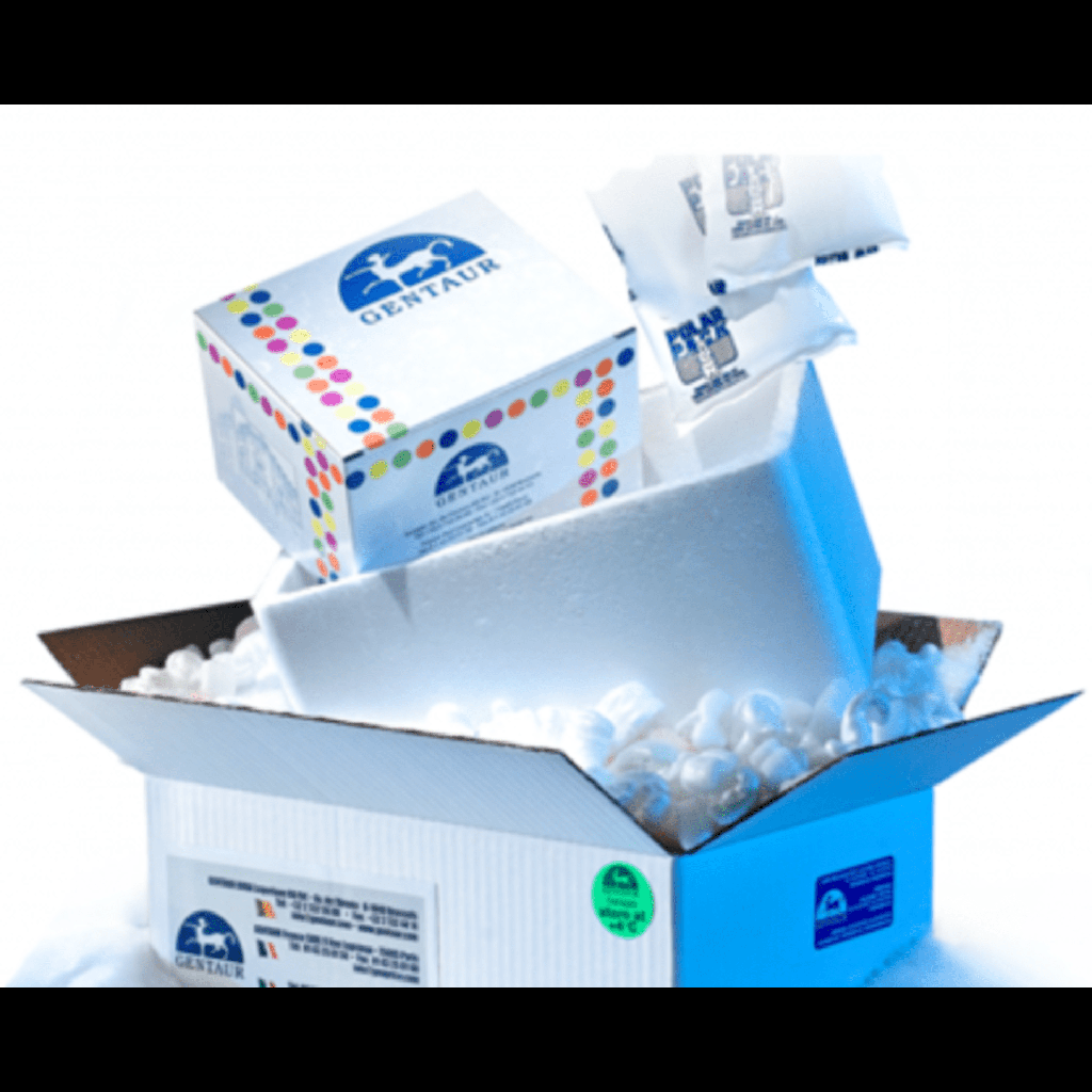 ELISA RF IgM Test System - 96 tests