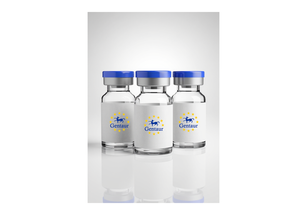 Seamless Cloning by HEAL