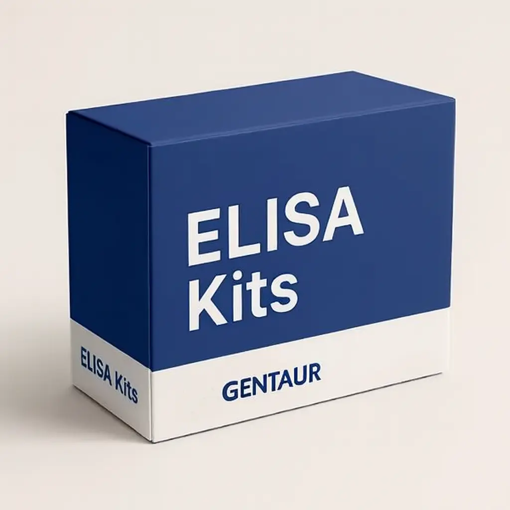 10-HETE(10-Hydroxyeicosatetraenoic Acid) ELISA Kit - ELK9448