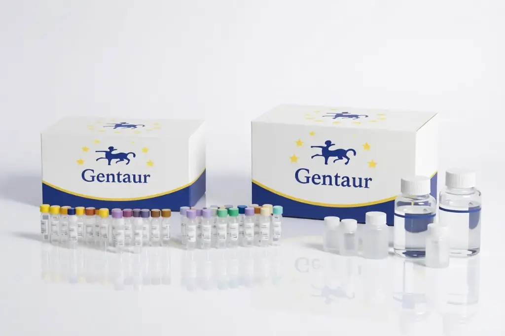 [K1331216P-sf] EzWay Human IL-8/CXCL8 ELISA Kit, pink-ONE