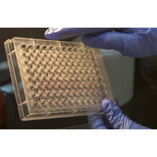 [FNab10875] ELISA  ADAM10 anti-