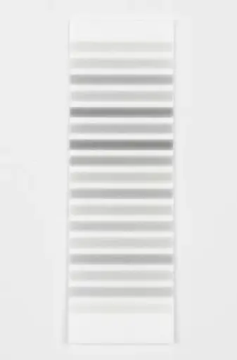 [BOC-6001] Heat Shock Protein 70 (Hsp70) Line Immunoassay